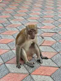 Sightseeing Without Suffering: Batu Caves From Below