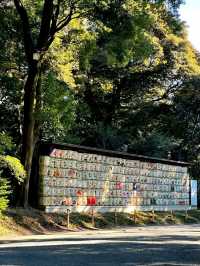 Peace in the Heart of Tokyo: Meiji Jingu Shrine