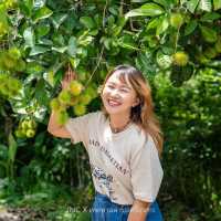 ถนนสายผลไม้ภูเก็ต 🍍🍊🍌🍉