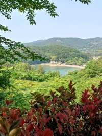 바다와 숲을 품은 데크 산책로, 온 가족 힐링 산책길 🌿🪑