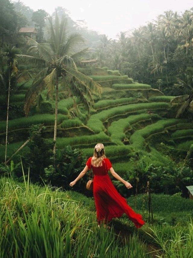 Jatiluwih Rice Terraces
