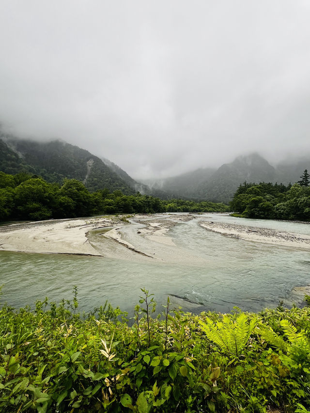 「自然に癒されたい…」そんな気持ちがふと湧いたこと、ありませんか？