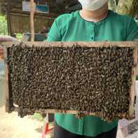 Ho Chi minh tour