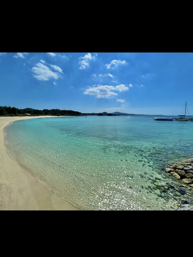 【海の中をのぞいてみよう】沖縄の海を間近に感じる「ブセナ海中公園」