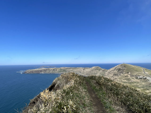 絶景✨礼文島・ゴロタ岬