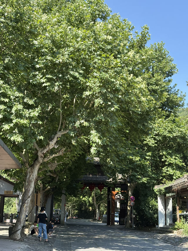 천태종 발상지 국청사, 산책과 힐링은 덤🪷