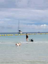 "A white sandy beach with clear water, perfect for swimming and spending the whole day in the water.