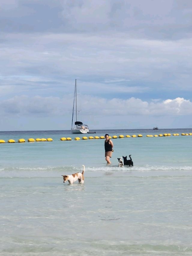 "A white sandy beach with clear water, perfect for swimming and spending the whole day in the water.