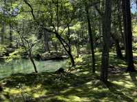 Saiho-ji (Koke-dera) in the Sunshine: A Refreshing Experience! ☀️🌿