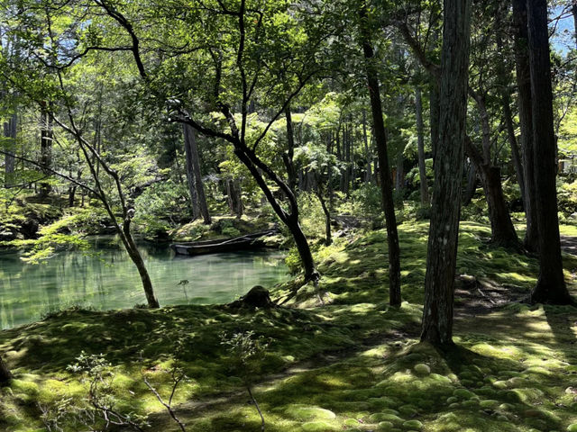 Saiho-ji (Koke-dera) in the Sunshine: A Refreshing Experience! ☀️🌿
