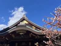 東京 湯島天神 ⛩️📚