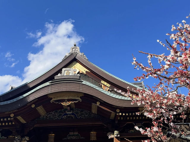 東京 湯島天神 ⛩️📚
