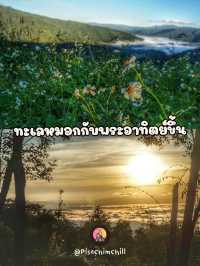 พาเที่ยวชมธรรมชาติ ที่ภูหัวฮ่อม จังหวัดเลย
