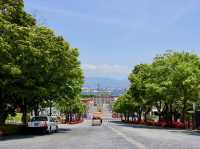 🏯 Echoes of the Samurai: A Quiet Moment at the Site of Konotate in Usuki