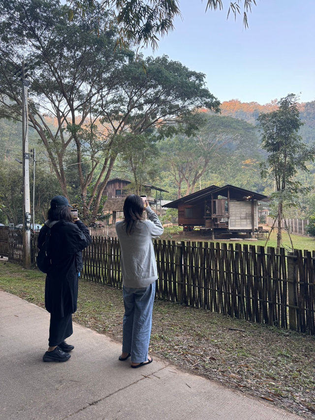 ม่อนอิงสุข eco stay โฮมสเตย์กลางป่า เชียงใหม่