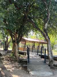 🕊️ Choeung Ek Killing Fields: A Place of Silence, A Plea for Peace ⚖️🌿
