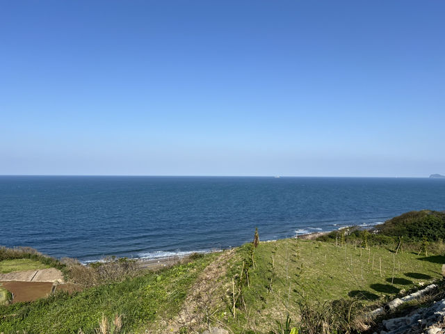 新北金山 山中怪獸 無敵海景