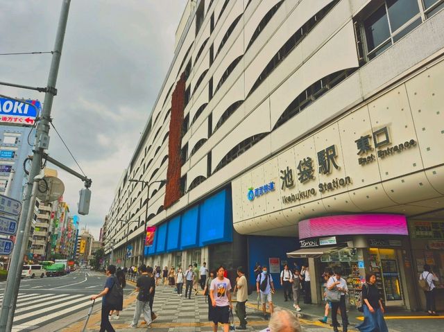 도쿄 10년 거주 경험자가 작정하고 '관광' 해보았다! 2탄