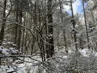 Snow Season in Yunnan  