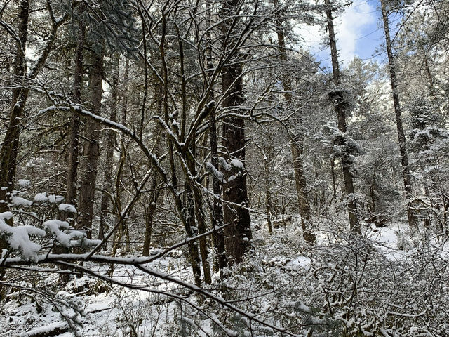 Snow Season in Yunnan  