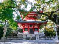 Whispers of Peace at Chion-in Temple, Kyoto