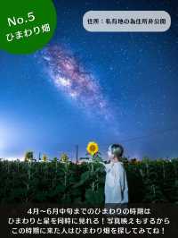 【石垣島】地元民しか知らない星空スポット🌌