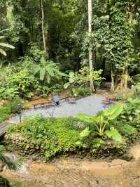 Proud คาเฟ่น่ารัก ณ แม่กำปอง ⛰️🌳🍃🌿☕️