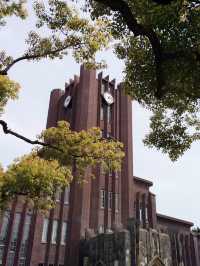 【本郷から根津へ: ツーリスト向け東京大学本郷キャンパス　夏休み向け】