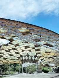 🌿 Urban Escape: Discover Perdana Botanical Garden, Kuala Lumpur