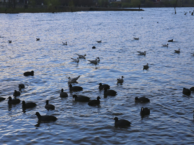 One fine day at Erhai lake in Dali!