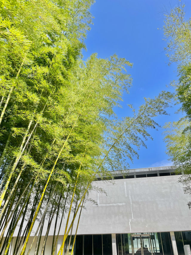 대나무의 모든 것🌿 담양 한국대나무박물관(A.K.A. Bamboo Museum) 