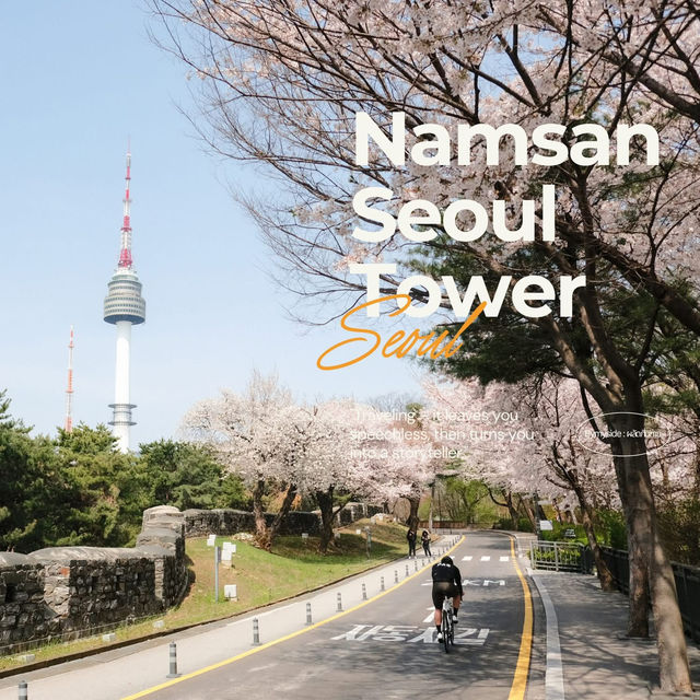 Namsan Seoul Tower 🗼🌆