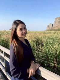 ศูนย์ศึกษาธรรมชาติบึงบัว เขาสามร้อยยอด