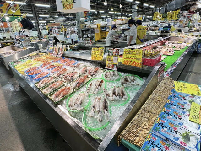Shirahama, Japan: Coastal Charms & Seafood Delights! 🌊🍣♨️