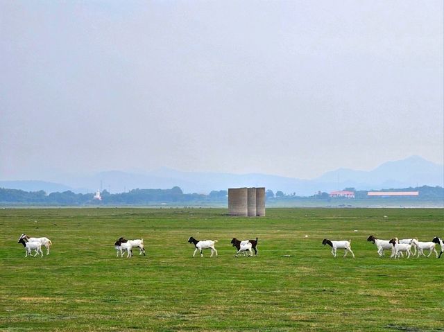 จุดกางเต็นท์บ้านหาดเล็บยาว นิวซีแลนด์เมืองไทย