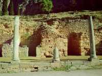 The Timeless Temple of Apollo