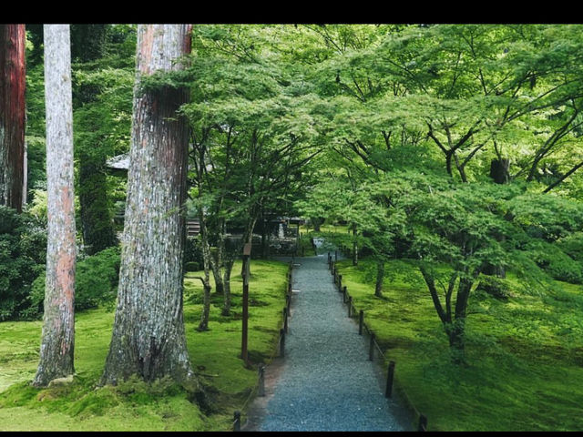【大原三千院】山里に佇む癒しの寺🍃静寂と緑に包まれる“心の旅”