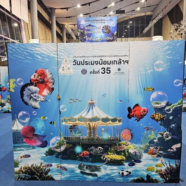 🐟 Fishtival (ประมงน้อมเกล้า) 🐟 