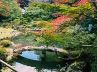 【京都旅行】紅葉見るならここ！！🍁