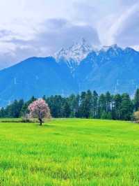 Fairy Tale Views in Nyingchi
