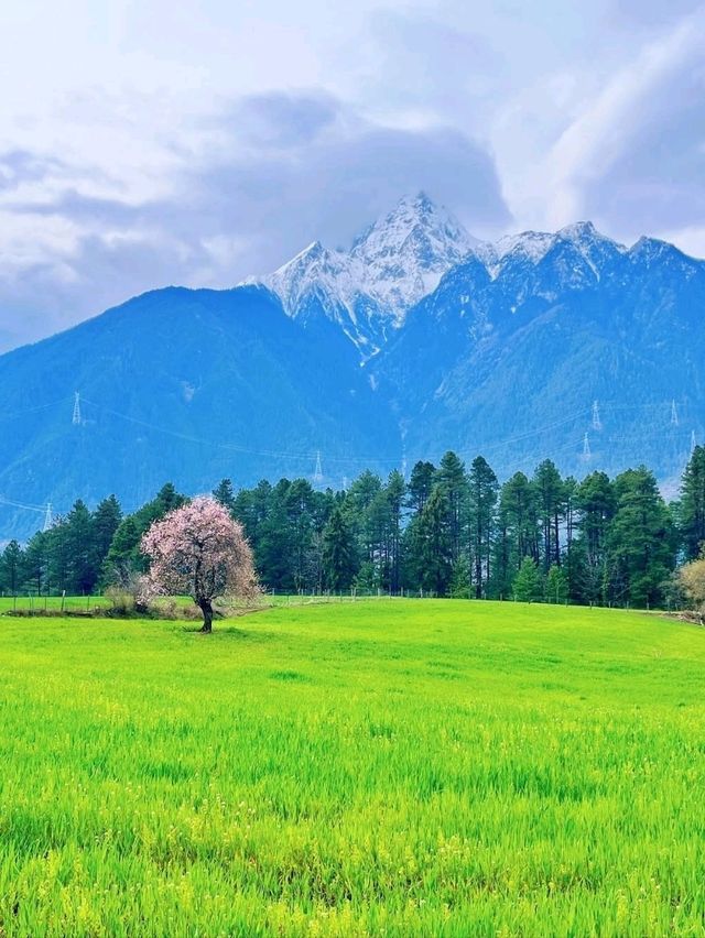 Fairy Tale Views in Nyingchi