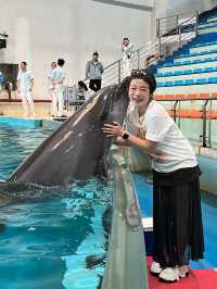 ✨Recommended - Must Visit in Changsha 🩵🐬✨