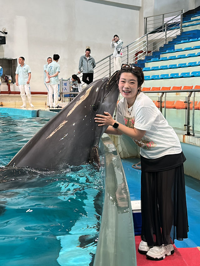 ✨Recommended - Must Visit in Changsha 🩵🐬✨