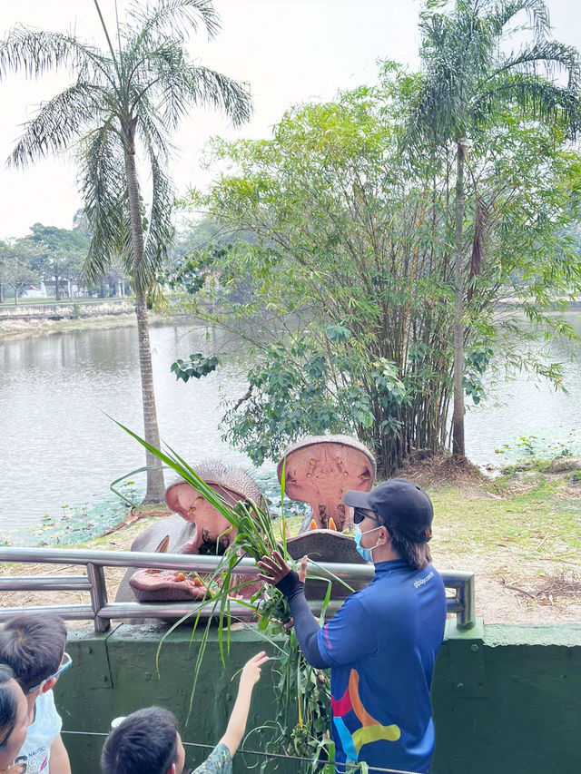 Close Encounter with Giants at Paya Indah Wetlands