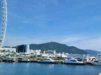 여수 오동도 산책