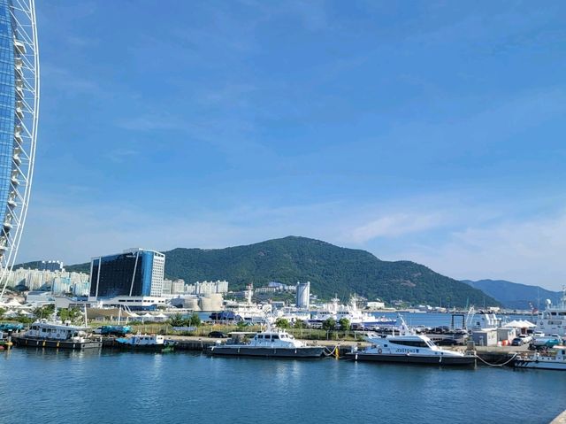 여수 오동도 산책