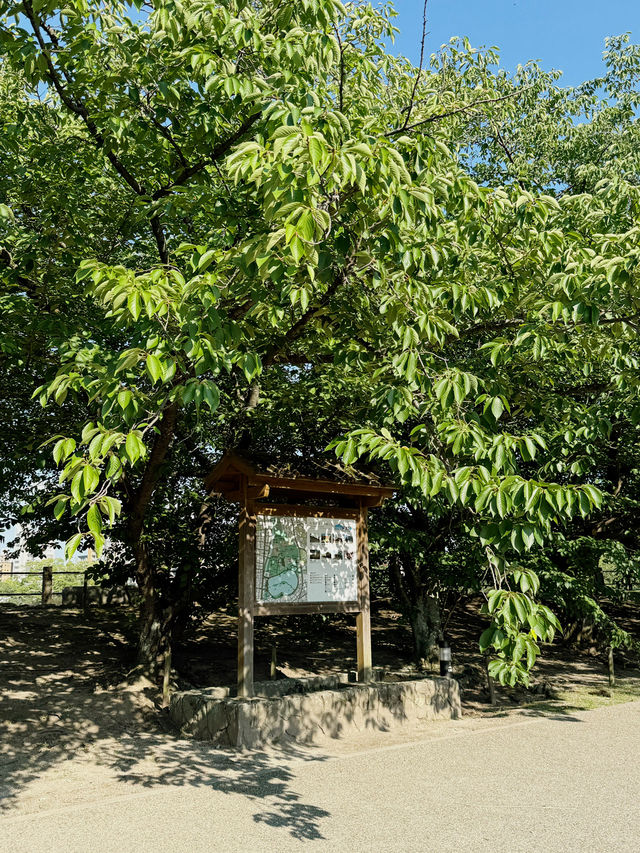 후쿠오카 산책 장소 추천드려요!!!