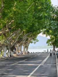 Lotus at Xiling Bridge– Hangzhou’s Most Literary Waterscape