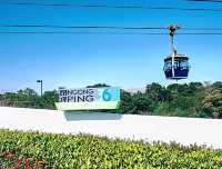 Serene views at Ngong Ping Piazza