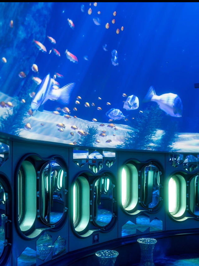 【玄海海中展望塔】海の中を歩くような、不思議で癒しの体験🐠🌊